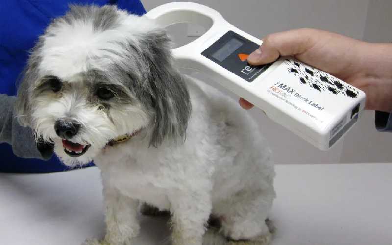 Dog Microchip Scanner